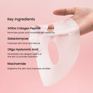 BIODANCE - Bio-Collagen Real Deep Mask